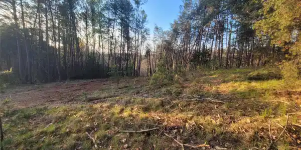 Image 4 Image 4