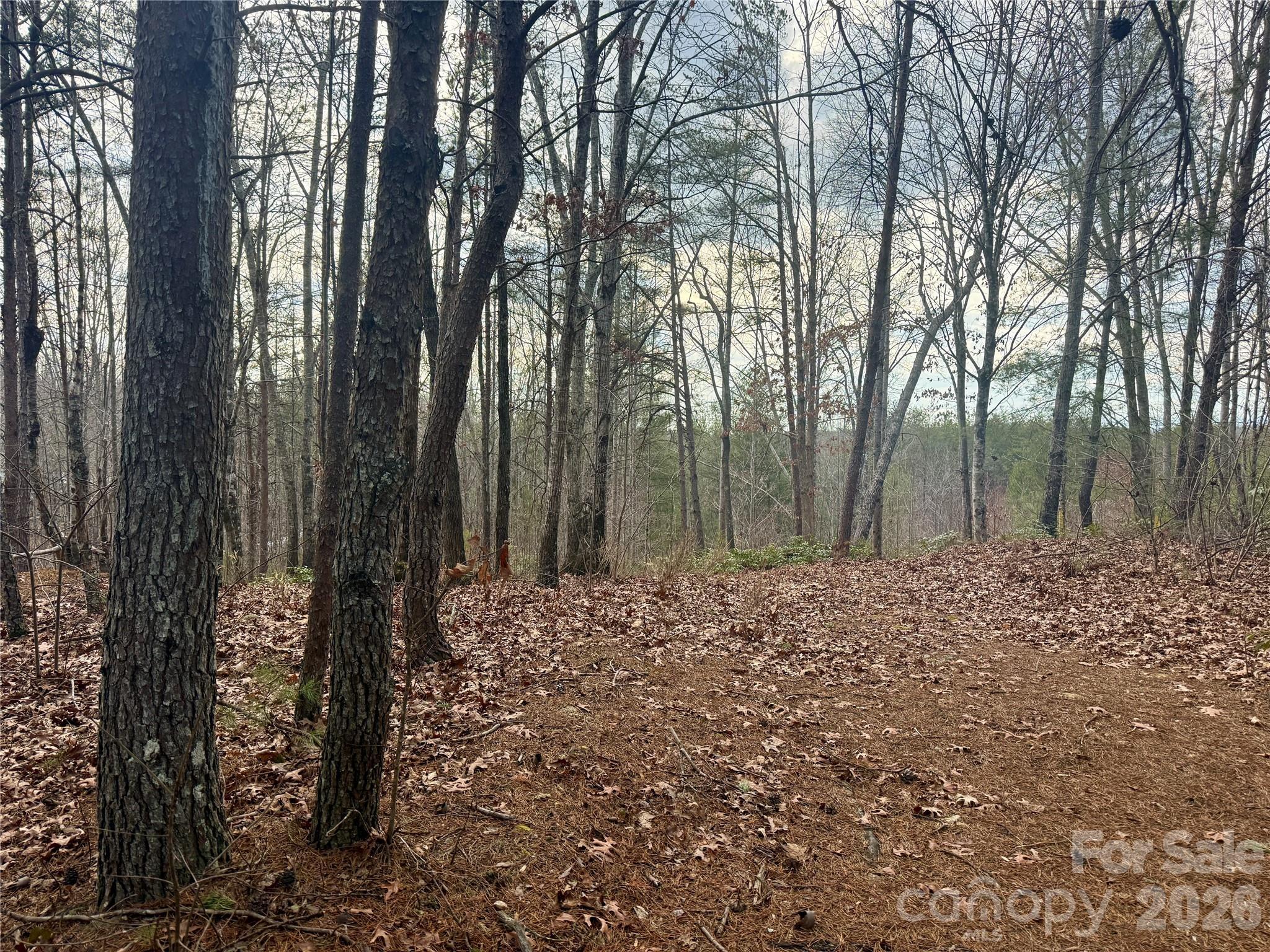 Image 4 Image 4