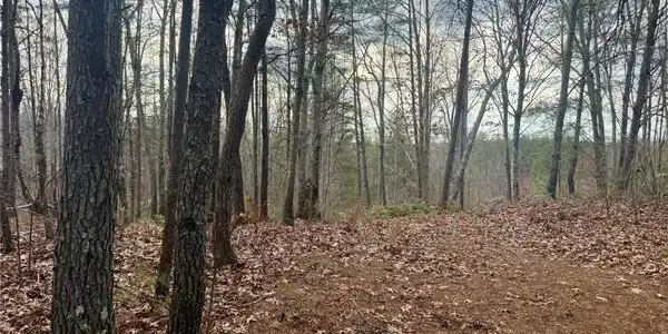 Image 4 Image 4