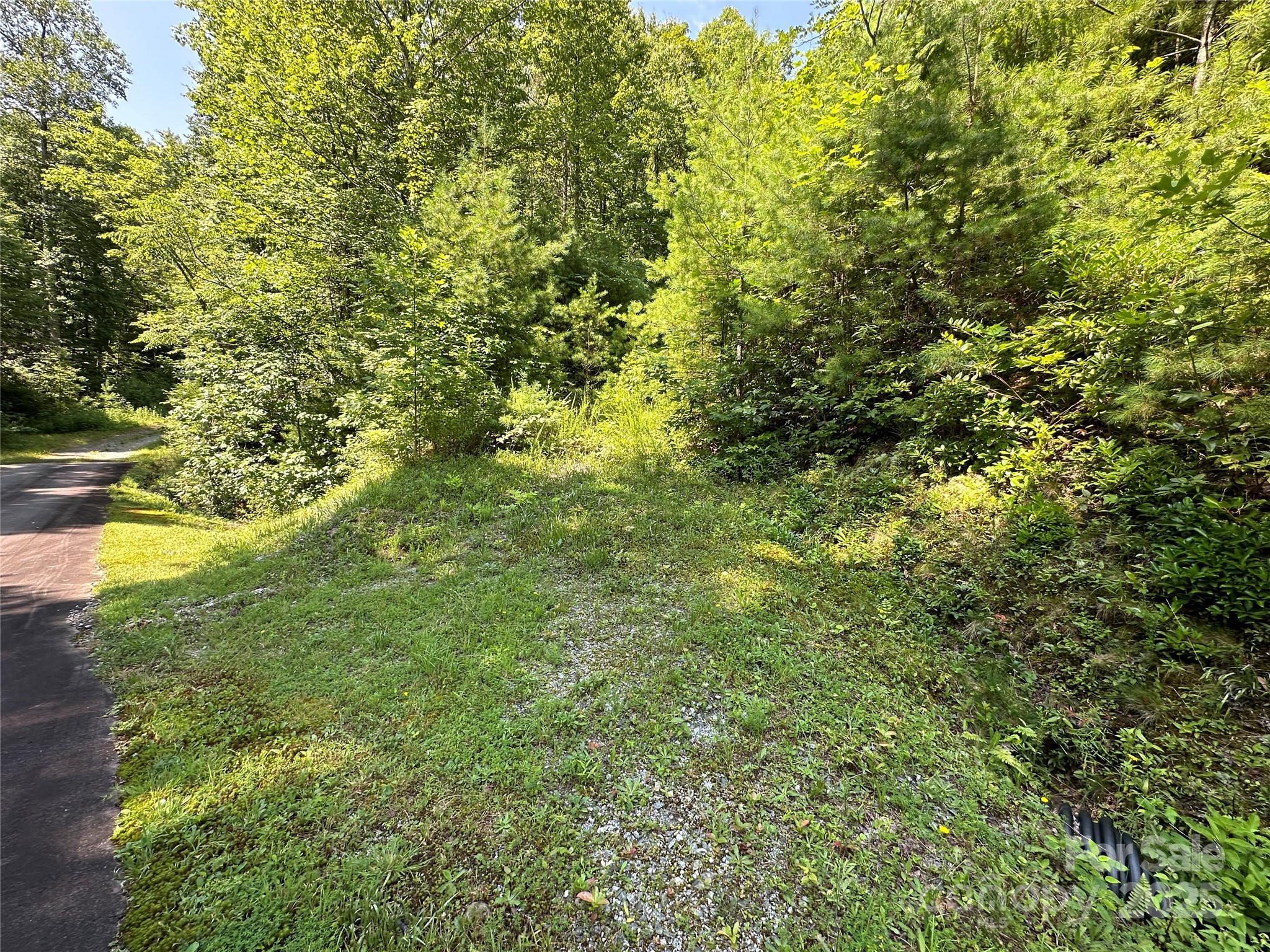 Image 4 Image 4