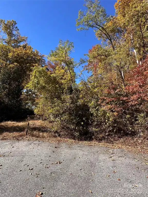 Image 1 Image 1