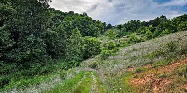 Lot 1 Murphy Cove Road