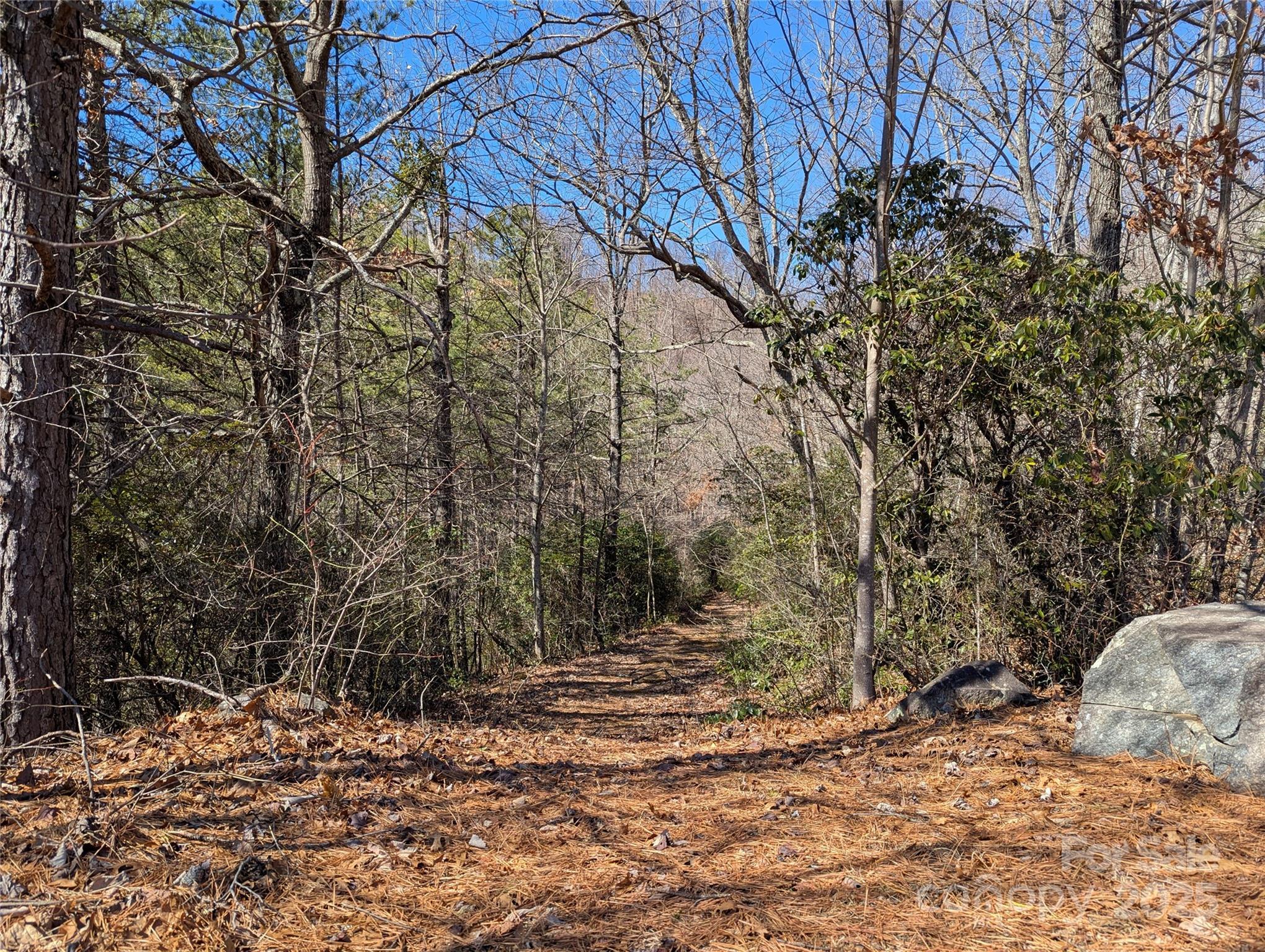 Image 1 Image 1