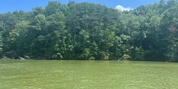 00 Canoe Drive