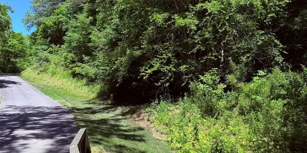Image 3 Image 3