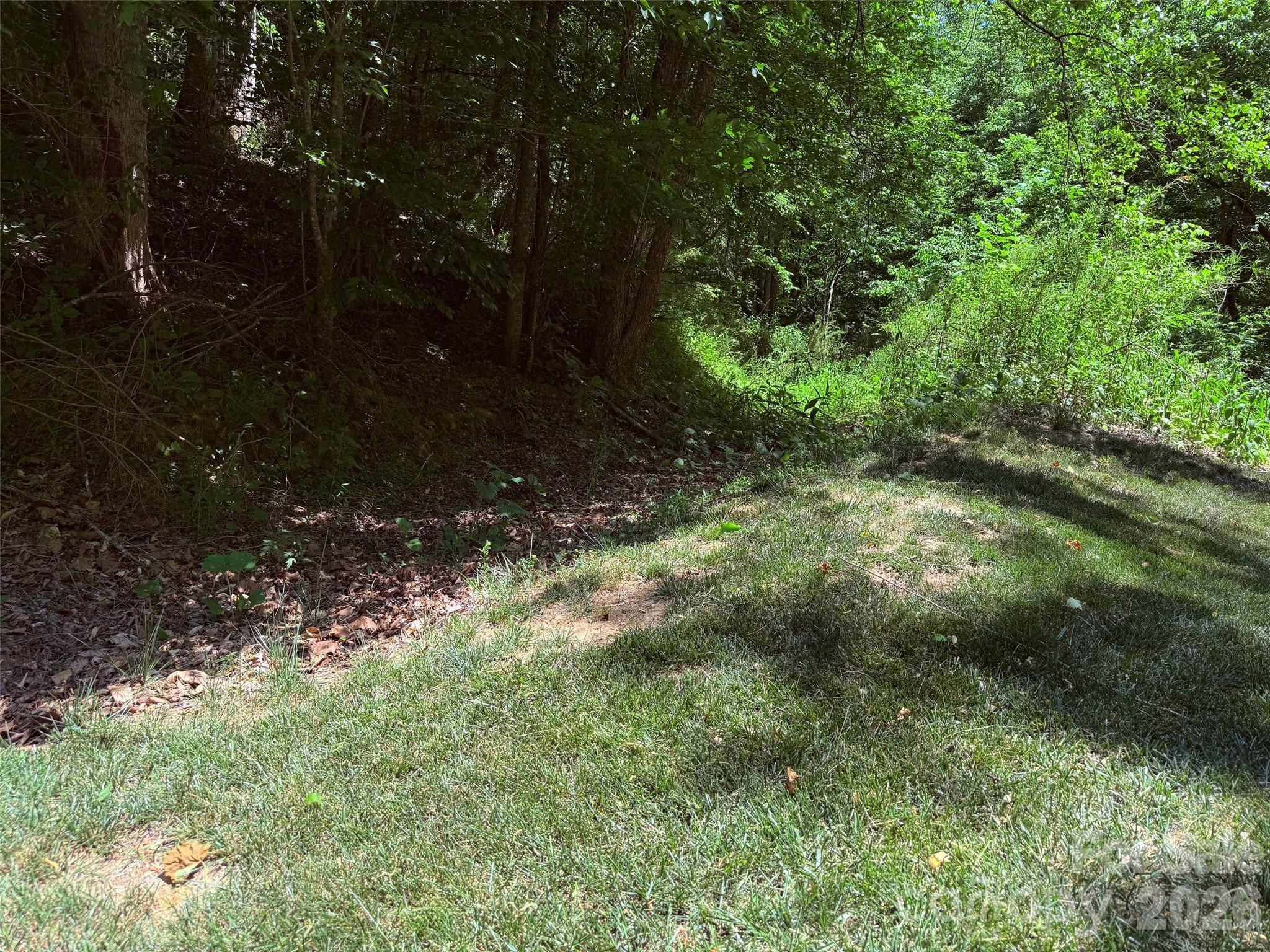 Image 4 Image 4