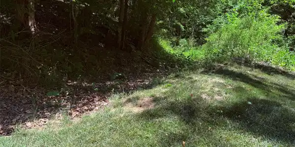 Image 4 Image 4