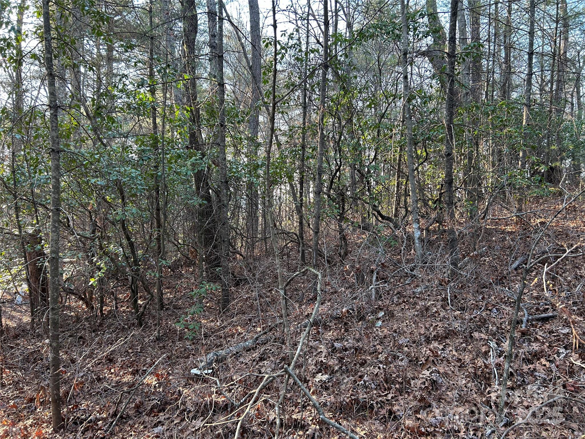 Image 3 Image 3