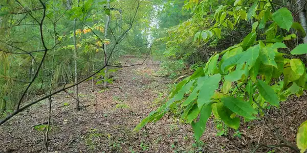 Image 2 Image 2