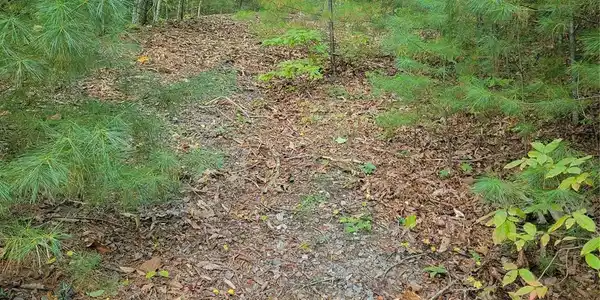 Image 3 Image 3