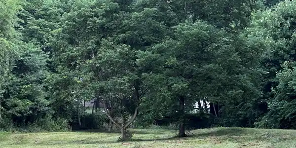 Image 2 Image 2