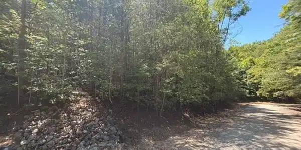 Image 2 Image 2
