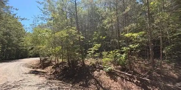 Image 3 Image 3