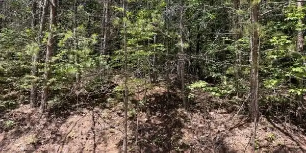 Image 4 Image 4