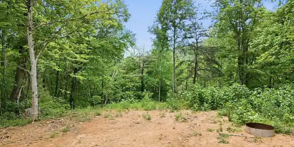 Image 3 Image 3