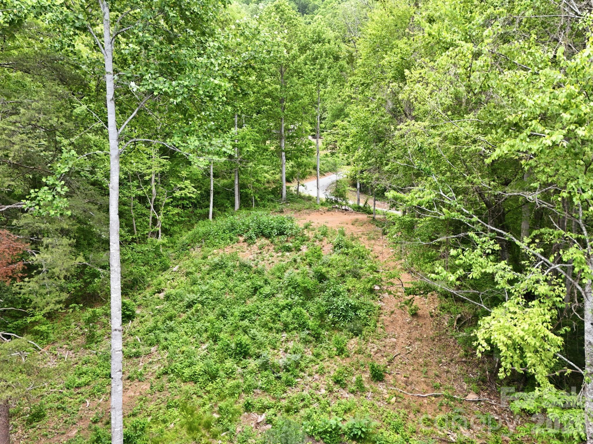 Image 4 Image 4