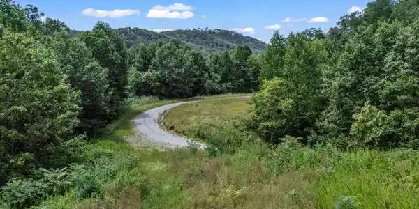 Image 4 Image 4