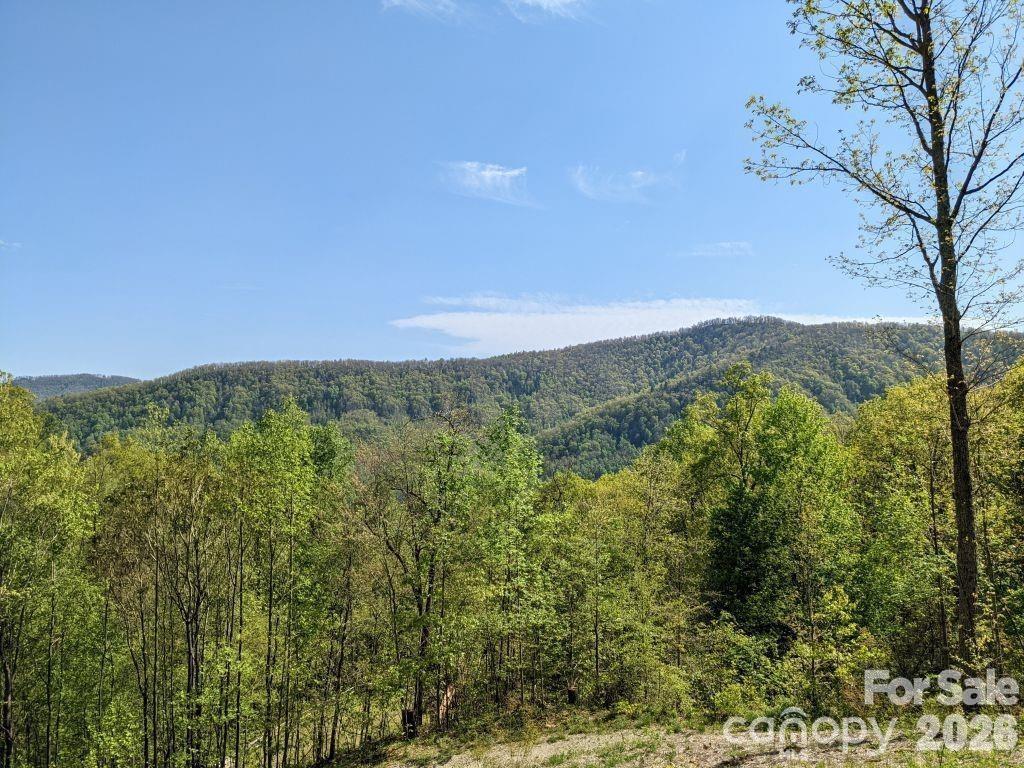 Image 1 Image 1