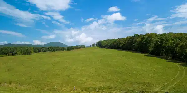 Image 3 Image 3