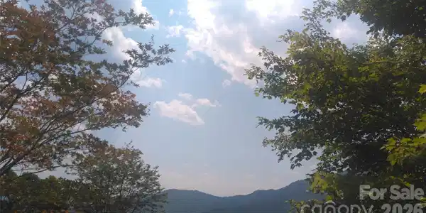 Image 4 Image 4