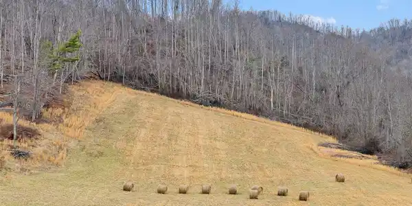 Image 3 Image 3