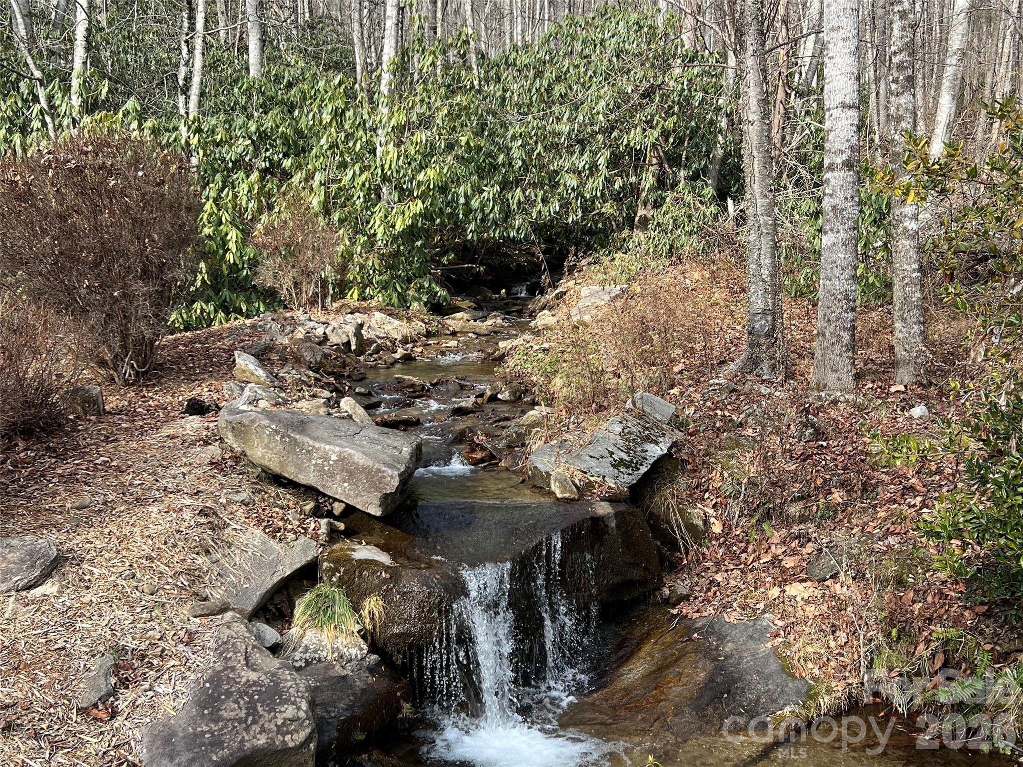 Image 4 Image 4
