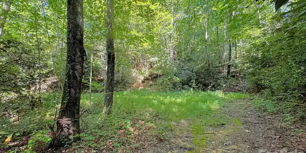 Image 4 Image 4