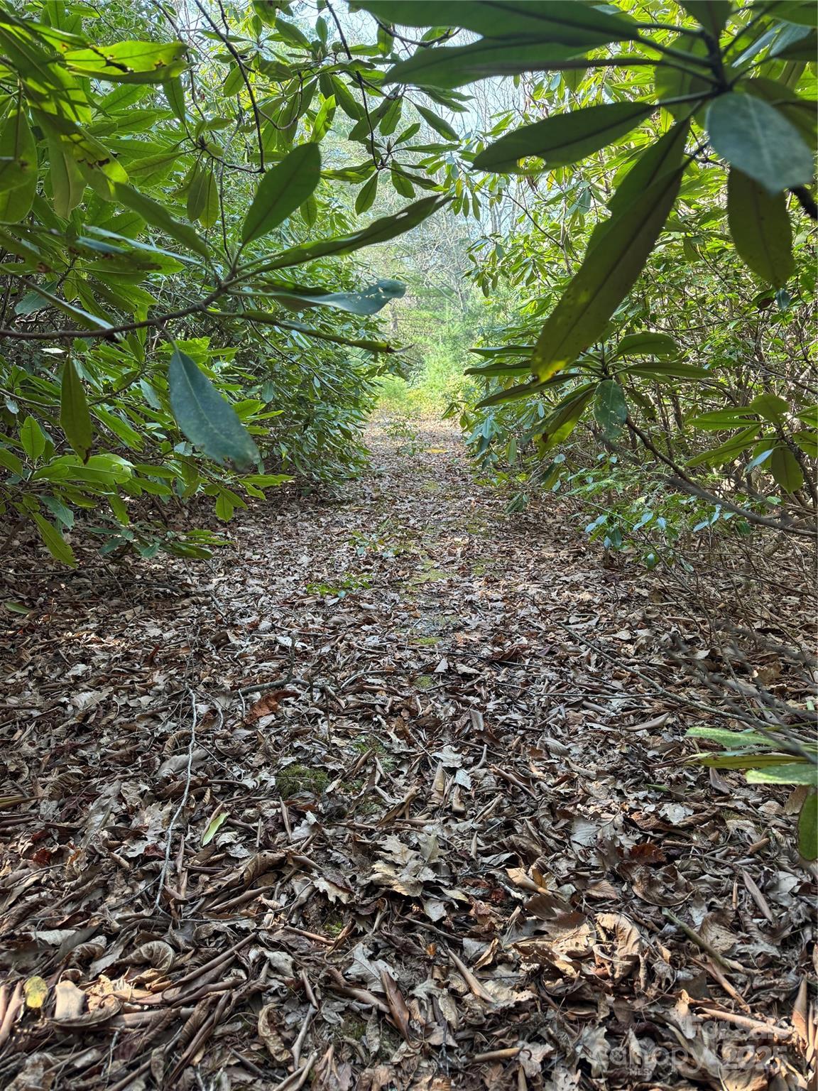 Image 3 Image 3