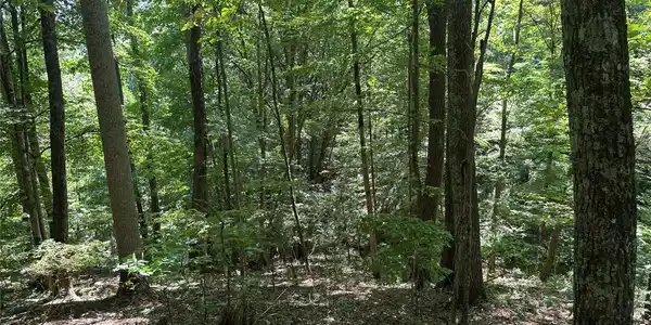 Image 4 Image 4