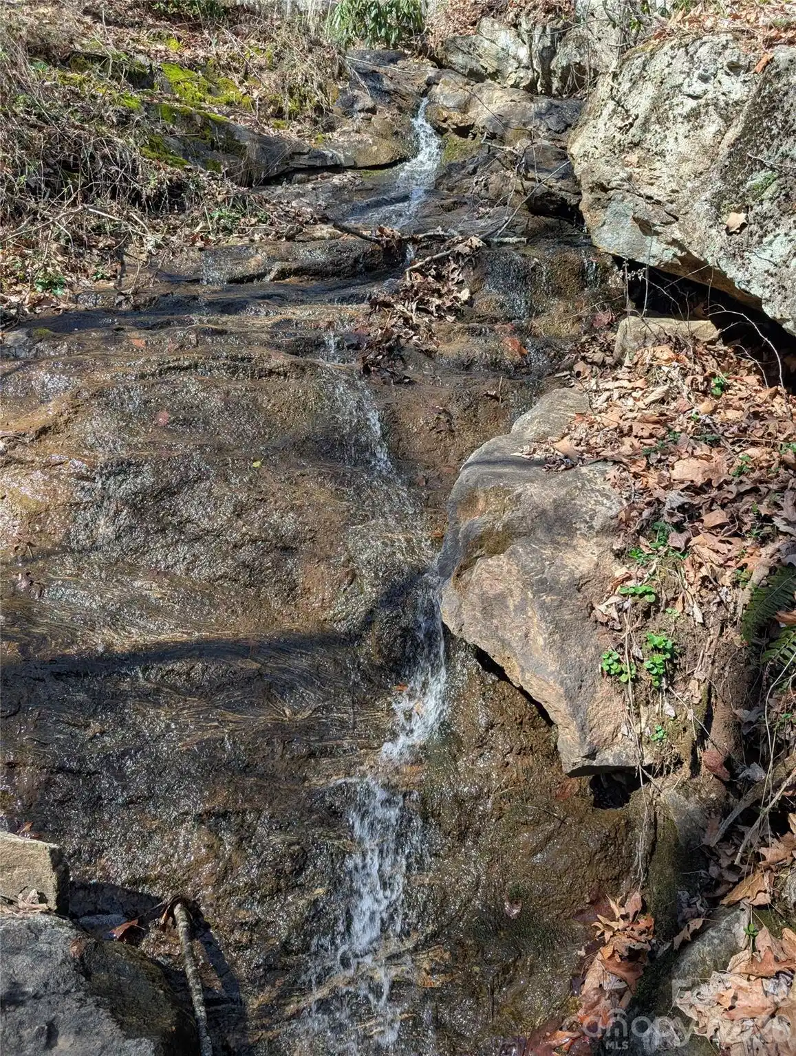 Image 1 Image 1