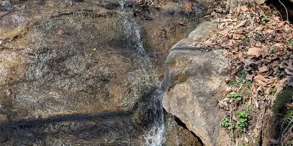 00 Bear Wallow Trail