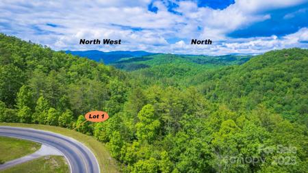 Lot 1 Reynolds Parkway