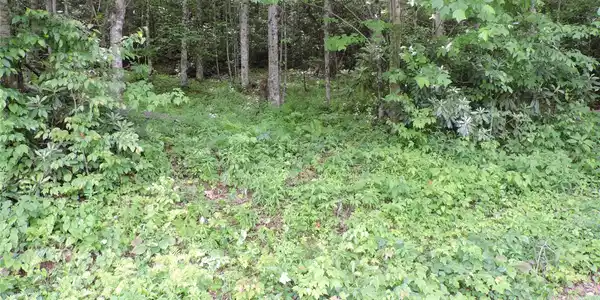 Image 4 Image 4