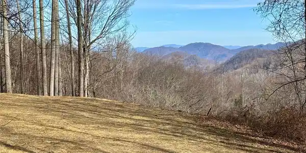 (NE Lot) Meadow Fork Road