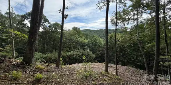 Image 3 Image 3