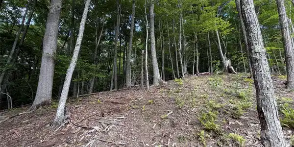 Image 4 Image 4