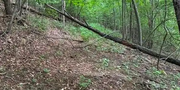 Image 4 Image 4