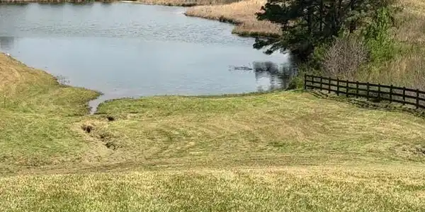 58 Lambs Grill Road
