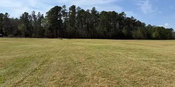 Image 4 Image 4