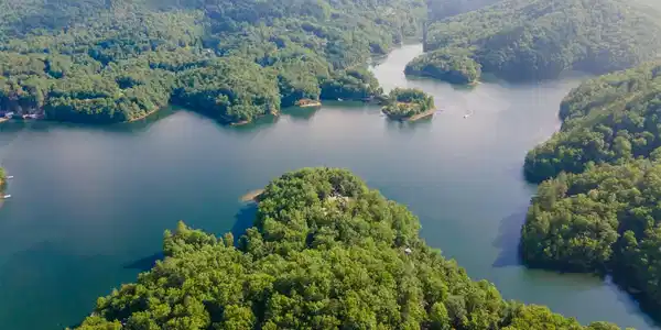 Image 2 Image 2