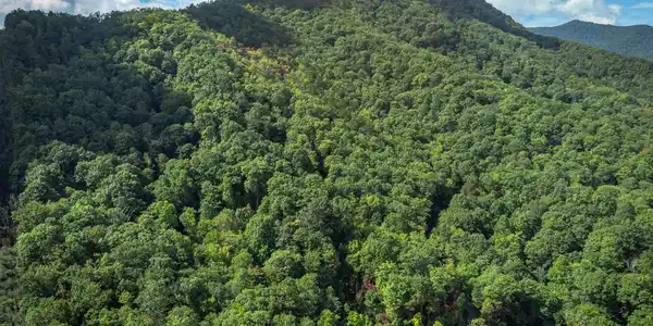 66 Sisters View Drive