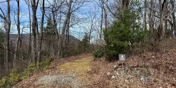 Image 4 Image 4