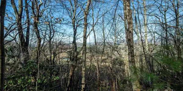 TBD Three Mile Knob Road