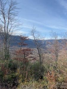 Lot 51B Wilderness Drive