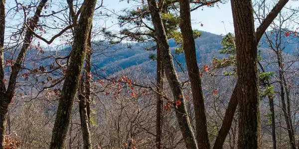 92 Smokey Ridge Trail