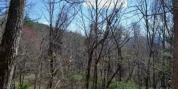Lot 8 Town Mountain Road