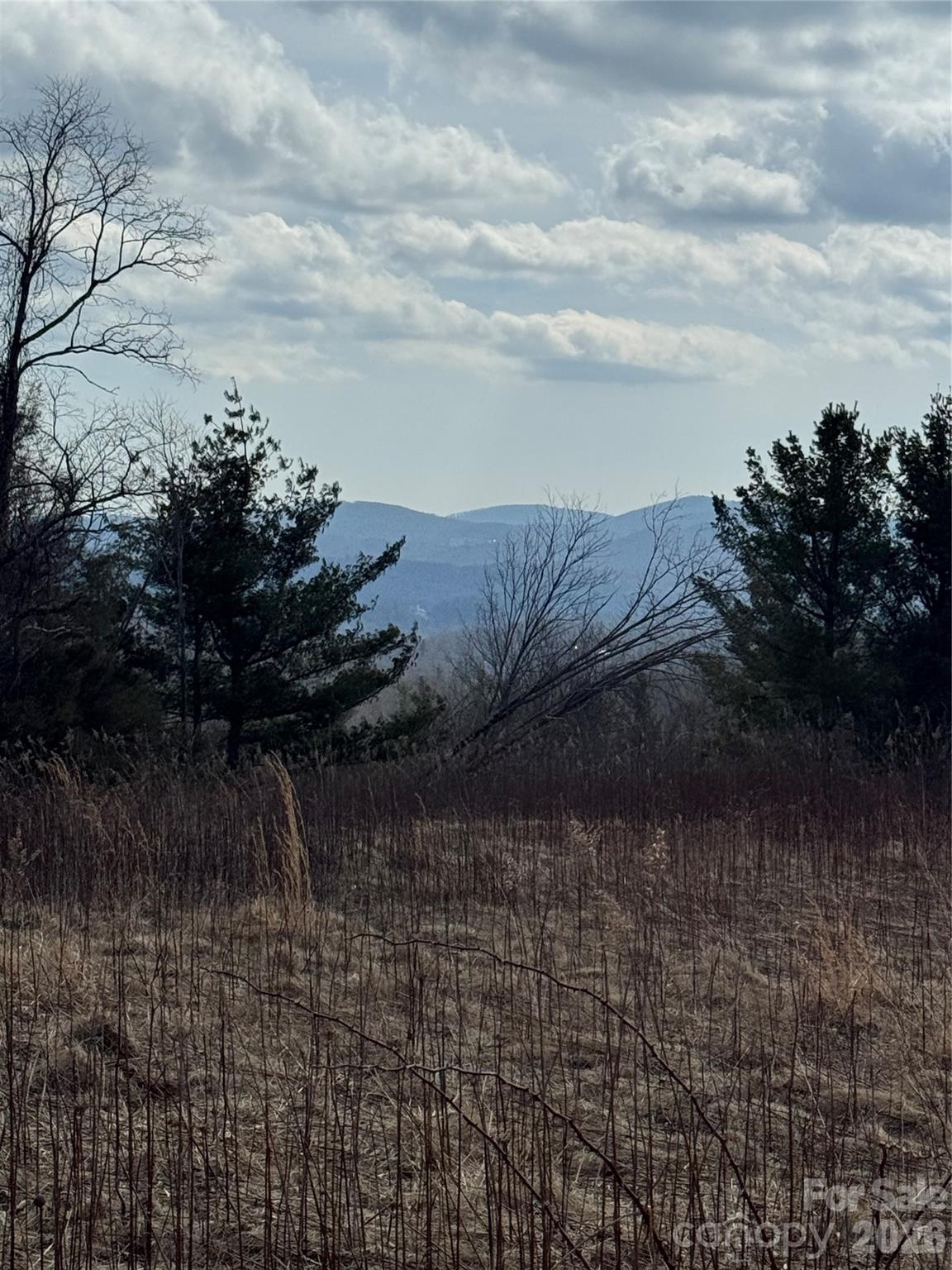 Image 4 Image 4