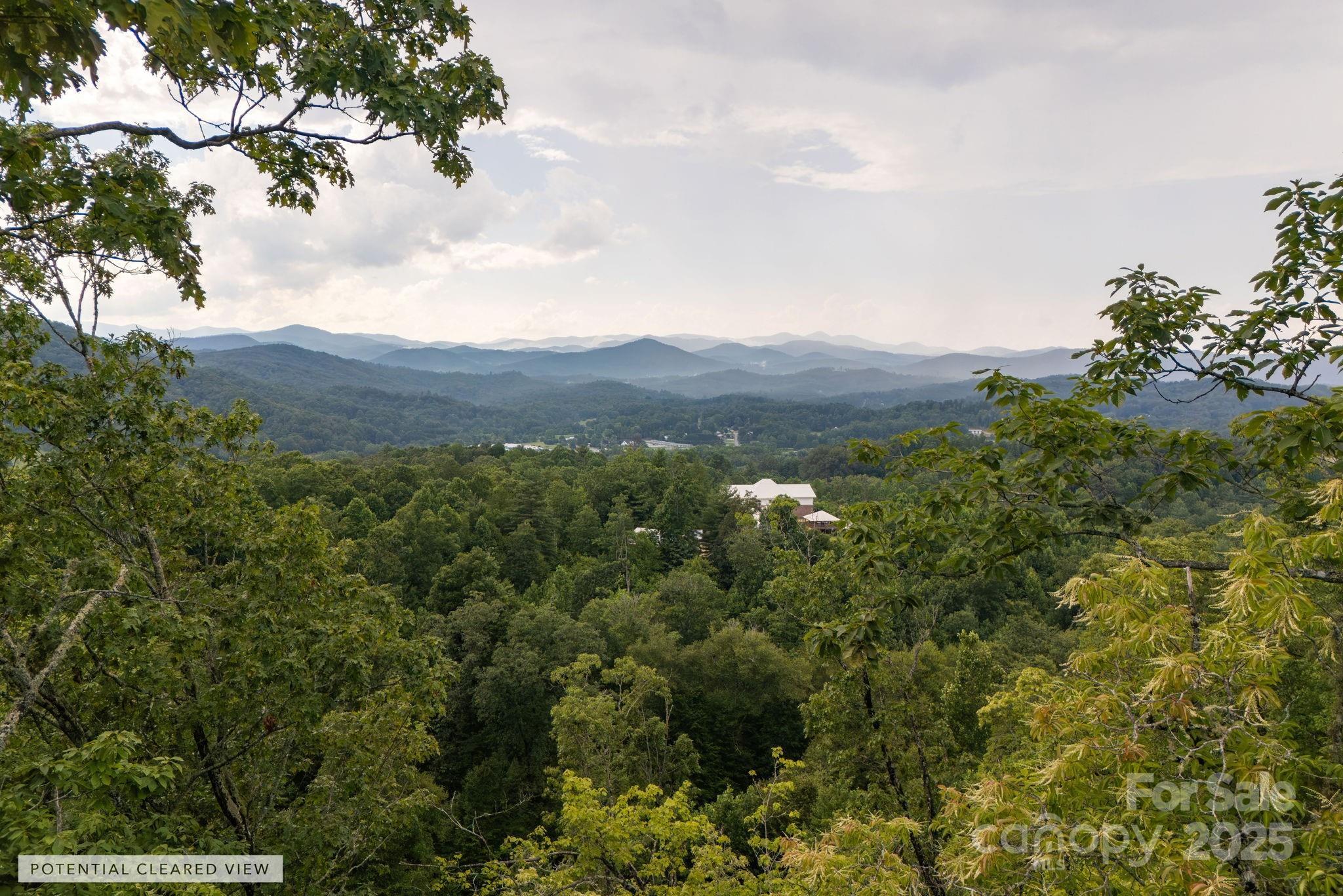 Image 1 Image 1