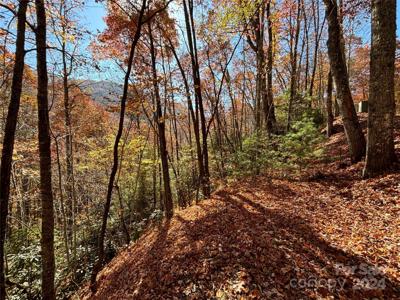 Lot 33 Coppermine Ridge