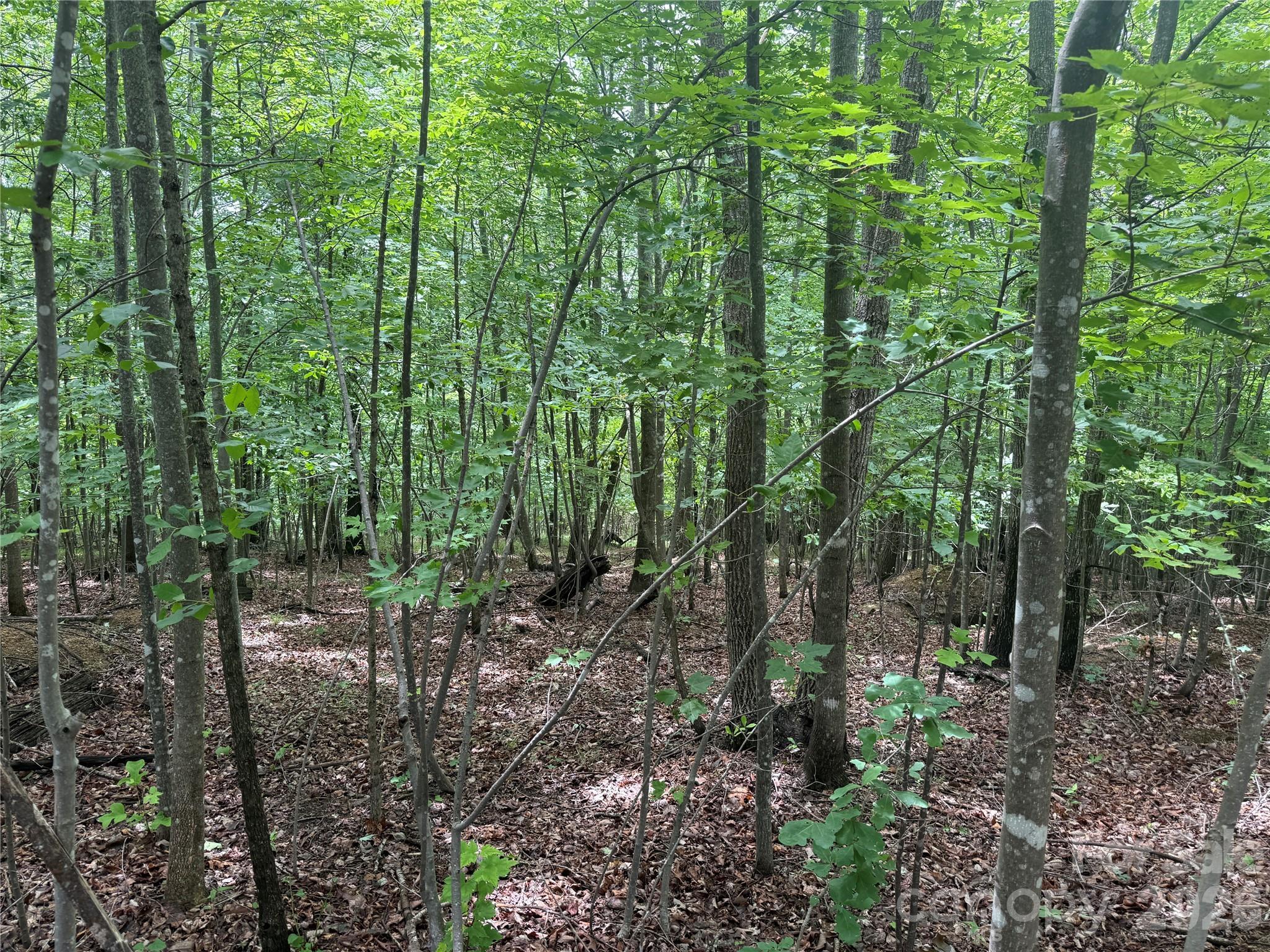 Image 3 Image 3